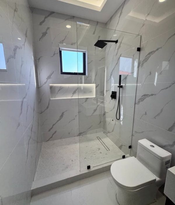 Frameless Shower Partition